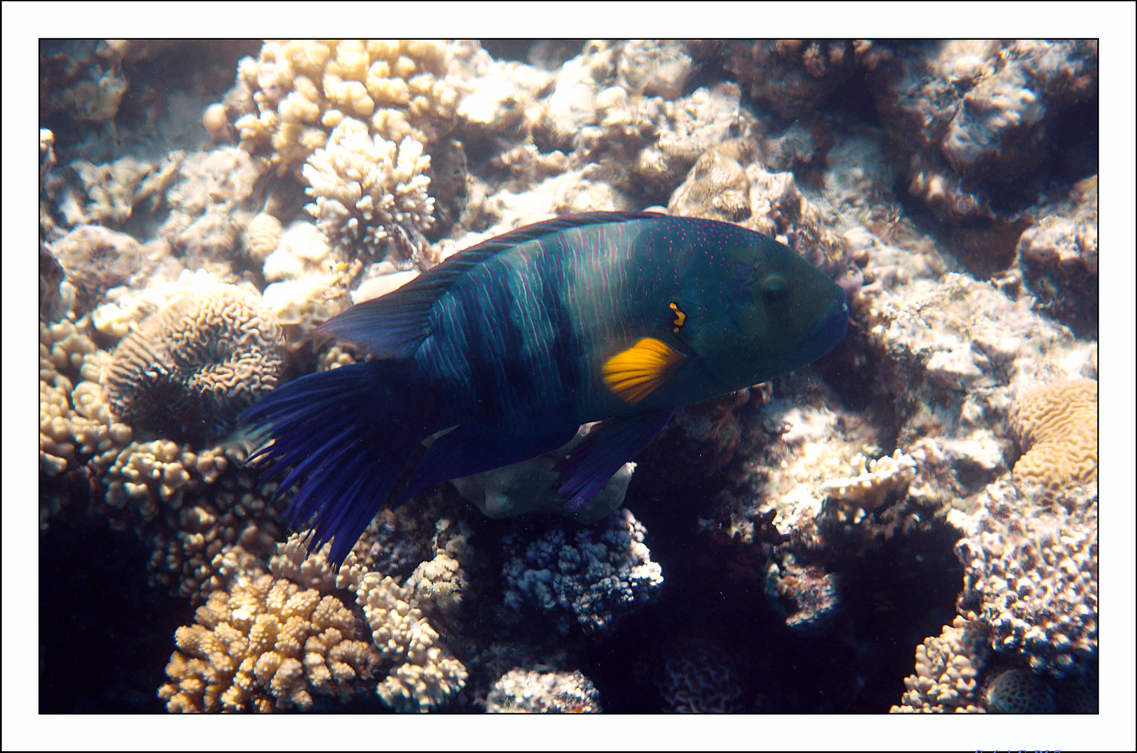 Hurghada - Juillet 2021 - 043